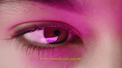 a close up of a person's eye with a pink background