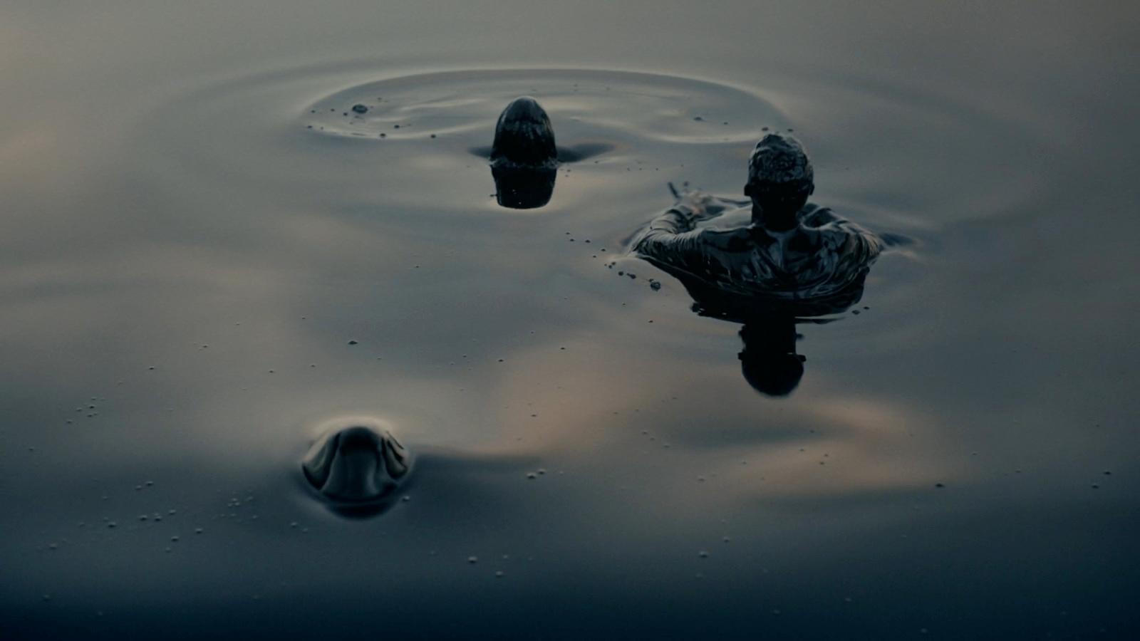 a couple of ducks floating on top of a body of water