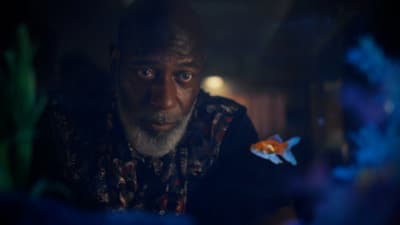 a man looking at a fish in a dark room
