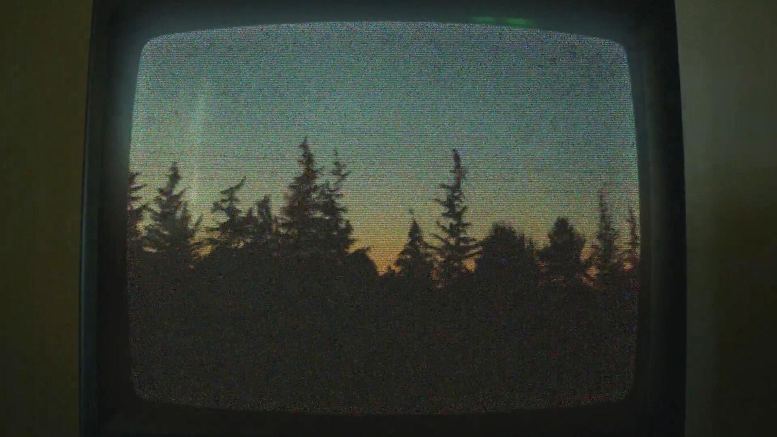 a television screen with a picture of trees on it