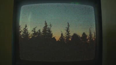 a television screen with a picture of trees on it