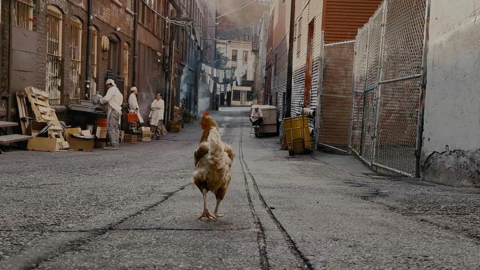 a chicken walking down a street next to a building