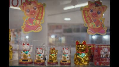 a display case filled with different types of cat figurines