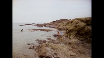 a couple of people standing on top of a rocky beach