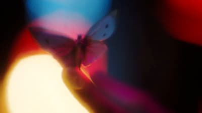 a blurry image of a butterfly in a vase