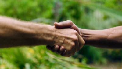 a close up of two people holding hands