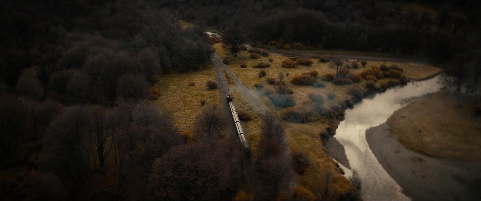 a train traveling through a lush green forest