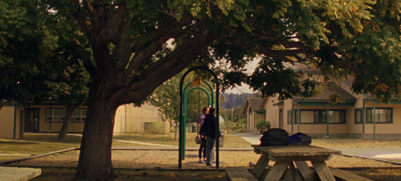 a couple of people standing next to a tree