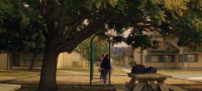 a couple of people standing next to a tree