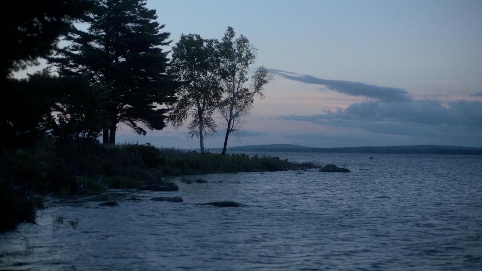 a body of water surrounded by trees at dusk