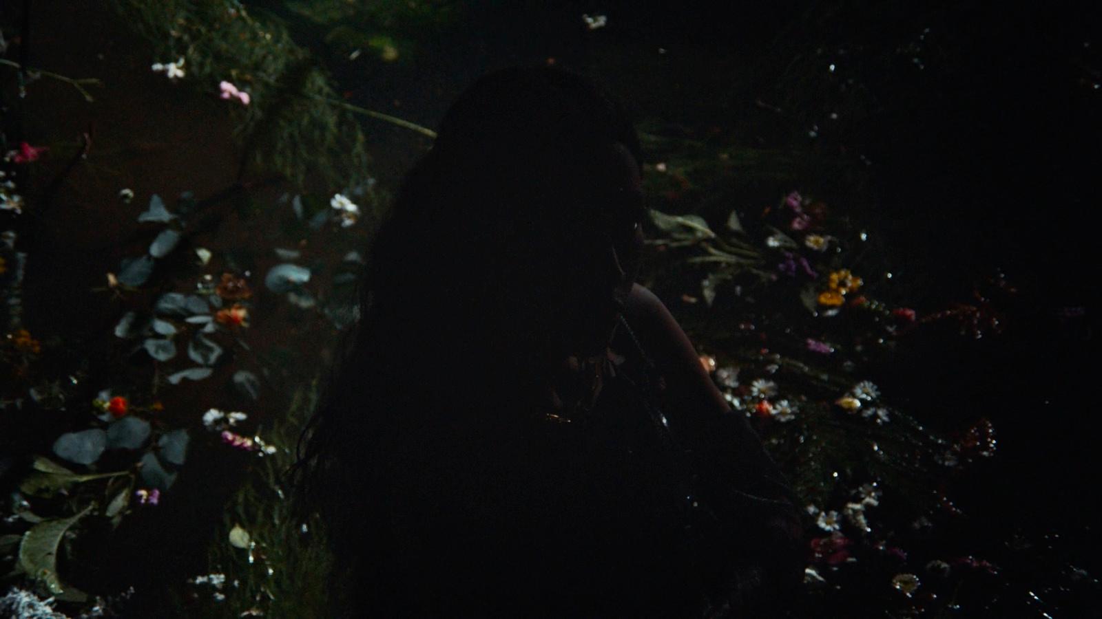 a woman standing in a field of flowers at night