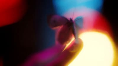 a blurry image of a butterfly on a person's hand