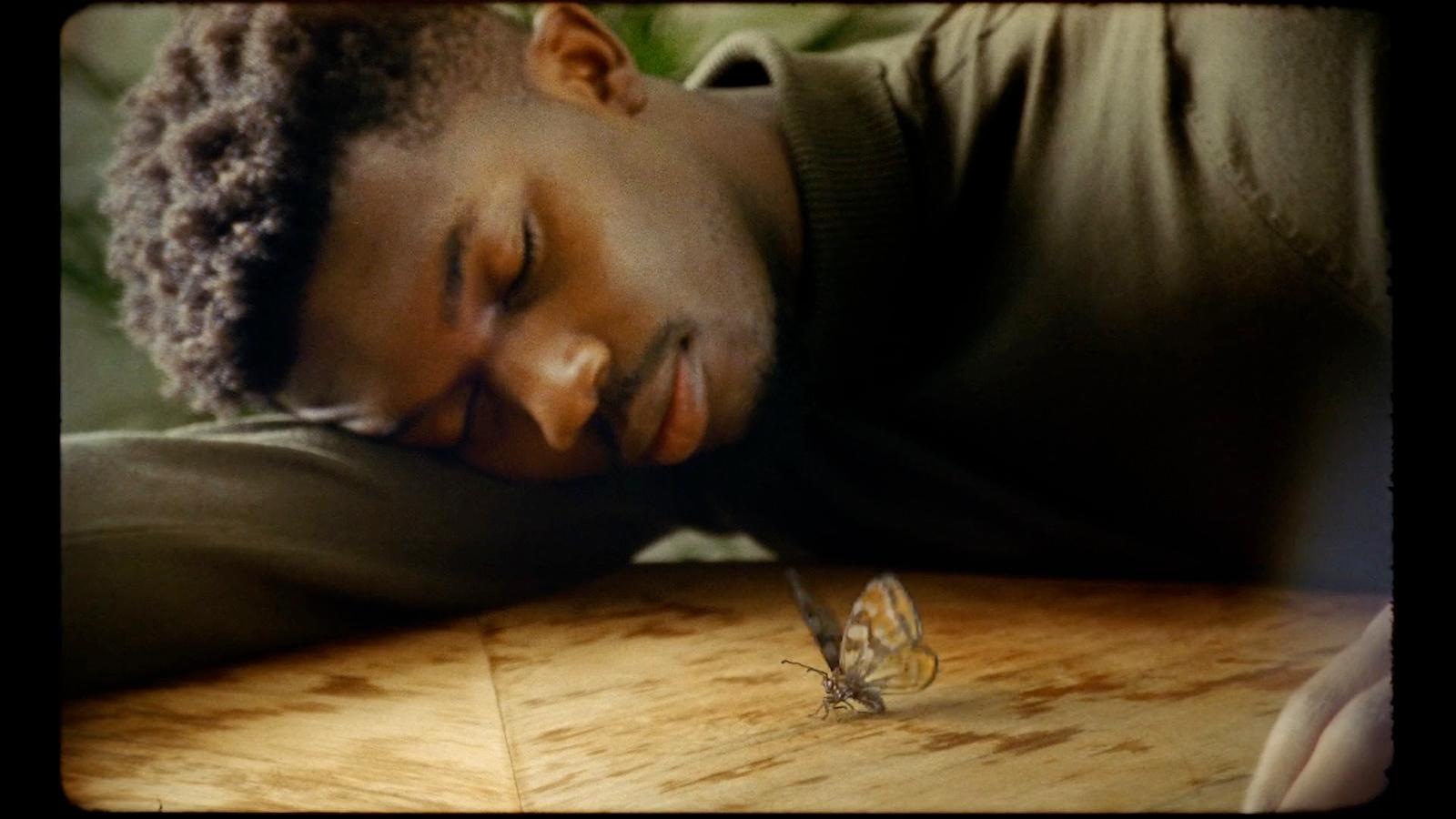 a man with a butterfly on his nose