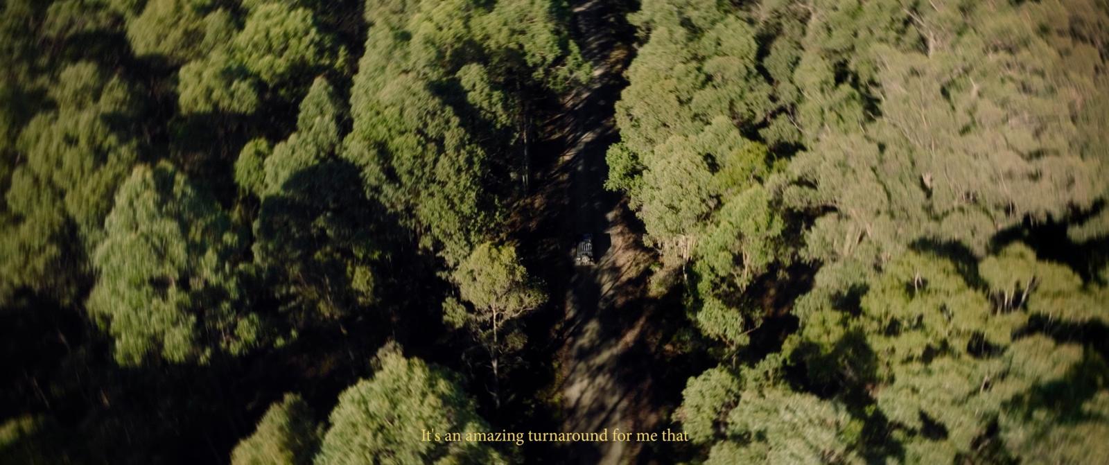 an aerial view of a forest with lots of trees