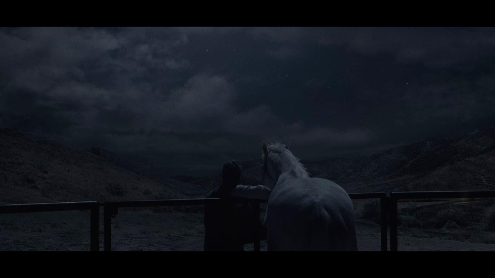 a white horse standing next to a fence at night