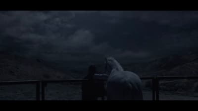 a white horse standing next to a fence at night