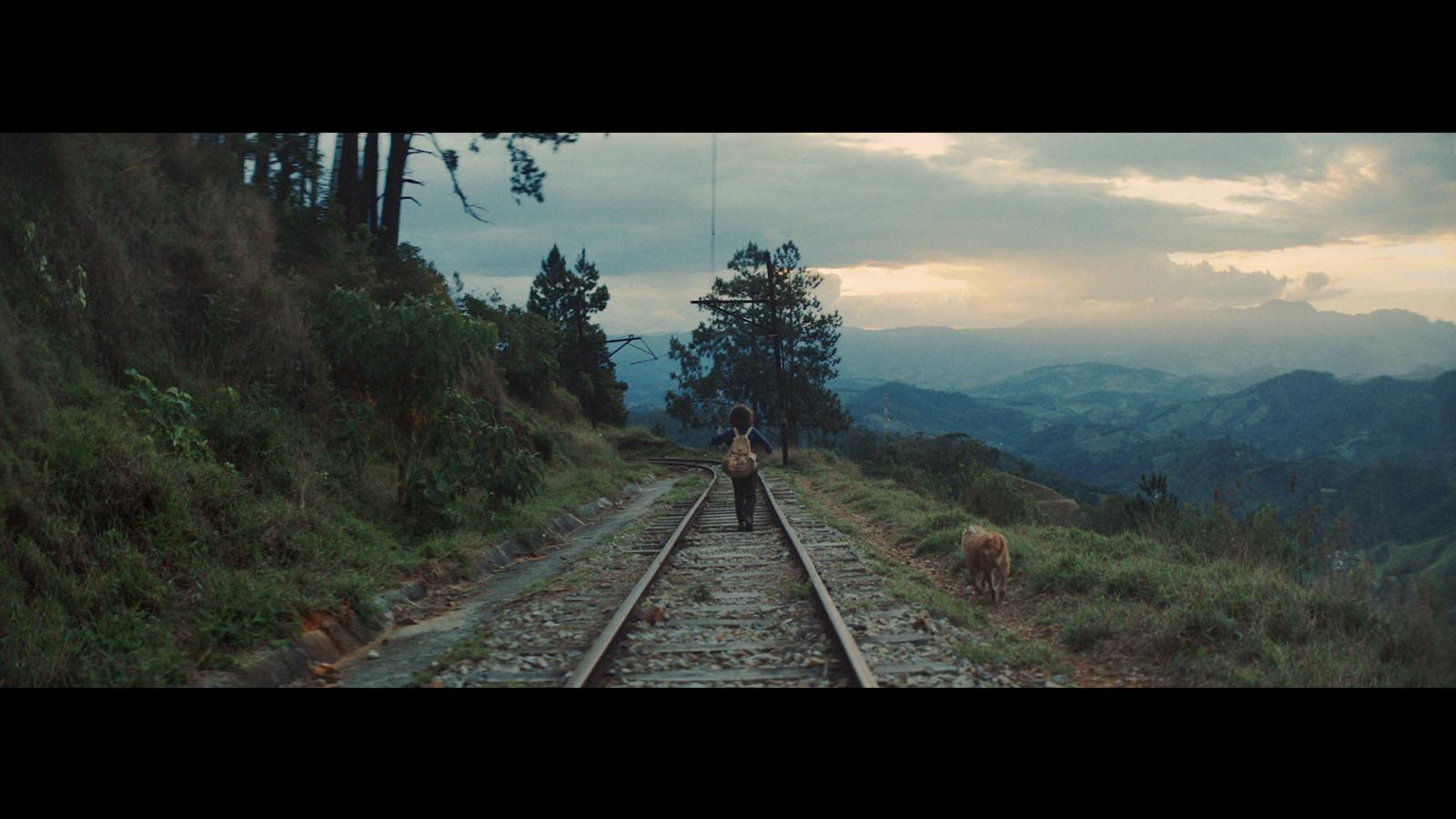 a person standing on a train track with mountains in the background