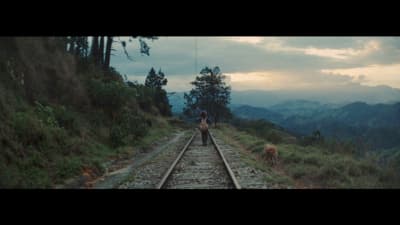 a person standing on a train track with mountains in the background