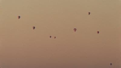 a group of hot air balloons flying in the sky
