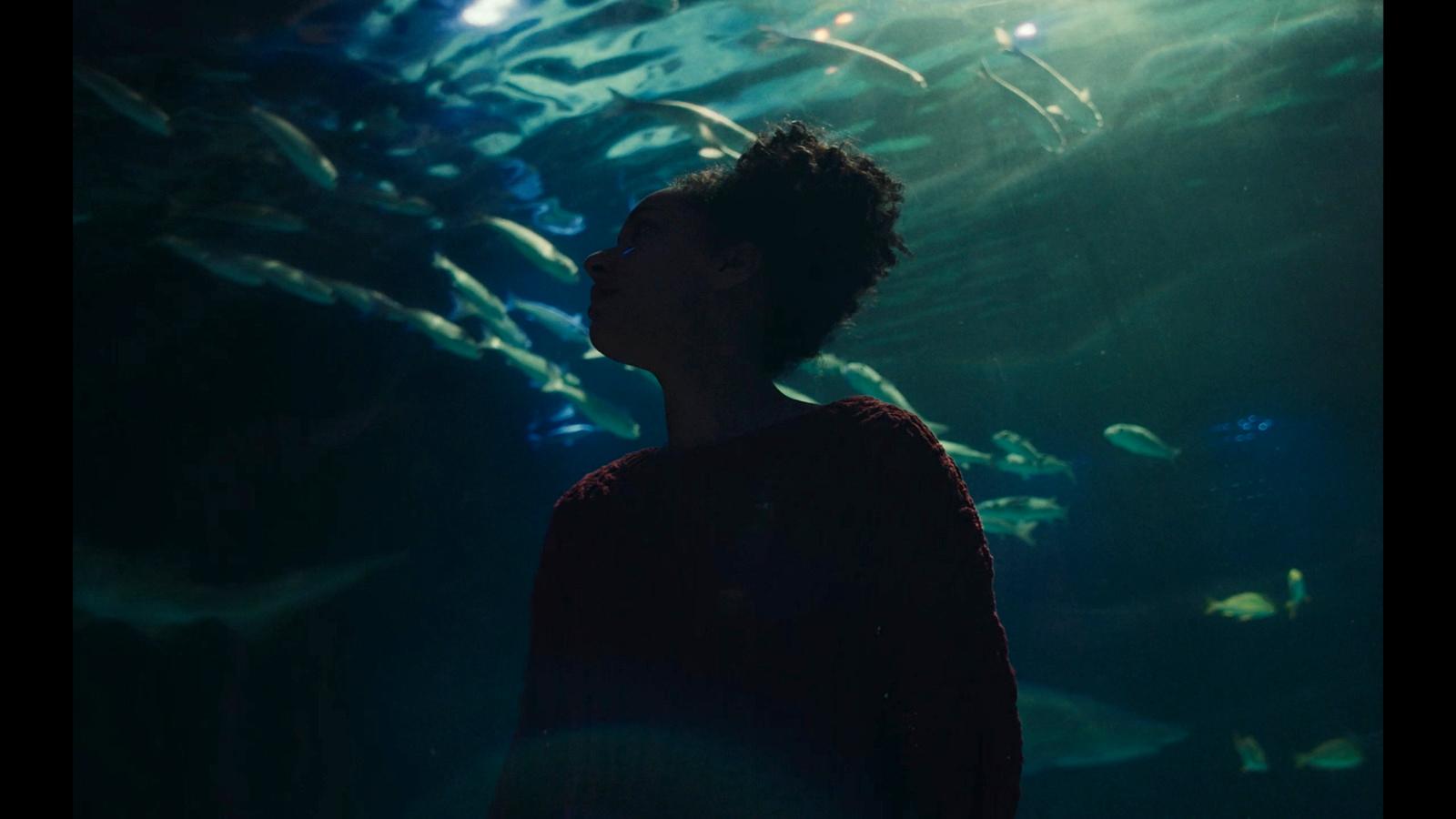 a person standing in front of a large aquarium