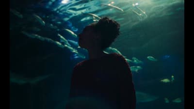 a person standing in front of a large aquarium