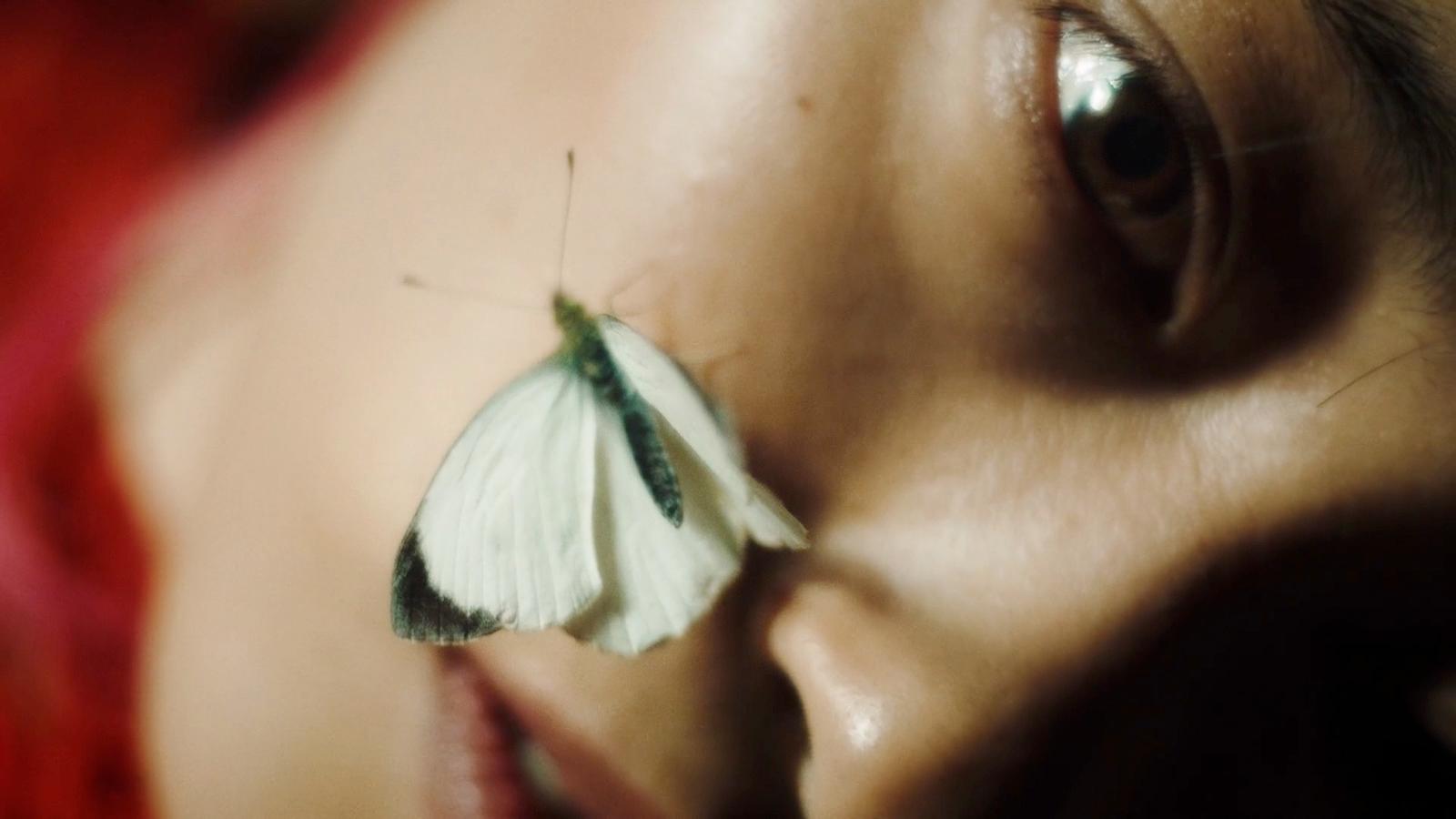 a close up of a butterfly on a woman's face