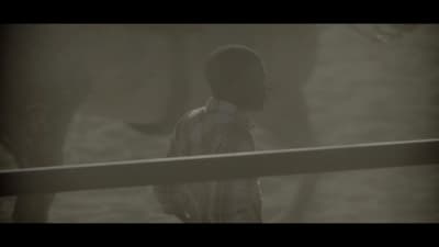 a person standing in front of a fence