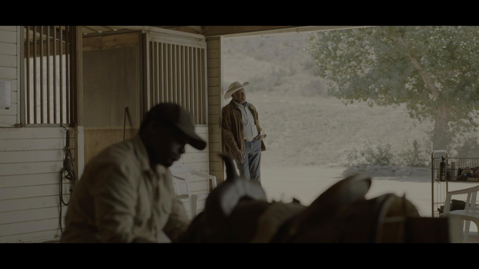 a man standing in front of a horse in a barn