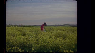 a woman standing in a field of tall grass
