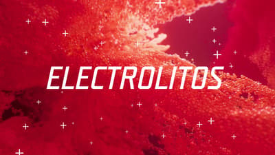 a close up of the word electronics on a red background