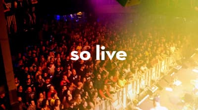 a large group of people in a concert