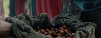 a person holding a bunch of nuts in their hands
