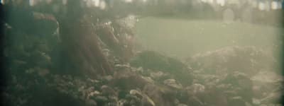a blurry photo of rocks and trees in a forest
