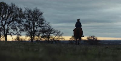 a person riding on the back of a brown horse