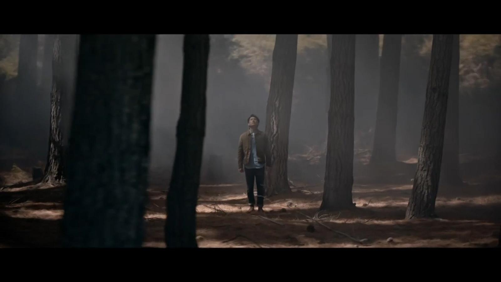 a man standing in the middle of a forest