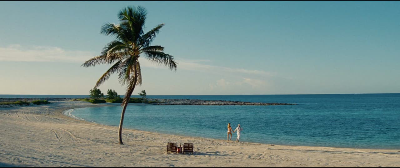 two people standing on a beach next to a palm tree