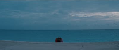 a person sitting on a beach next to the ocean