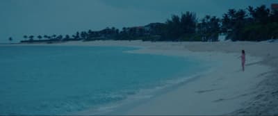 a person standing on a beach next to the ocean
