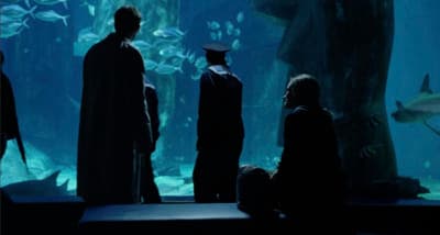 a group of people standing in front of a large aquarium