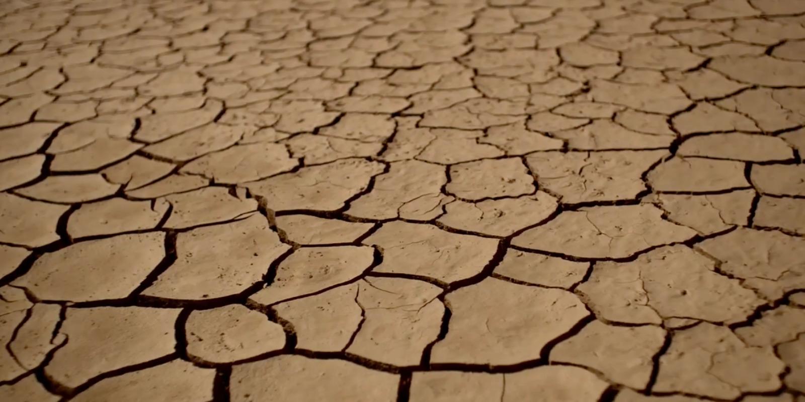 a cracked ground with a small patch of dirt