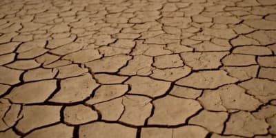 a cracked ground with a small patch of dirt