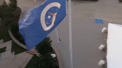 a blue and white flag on a pole