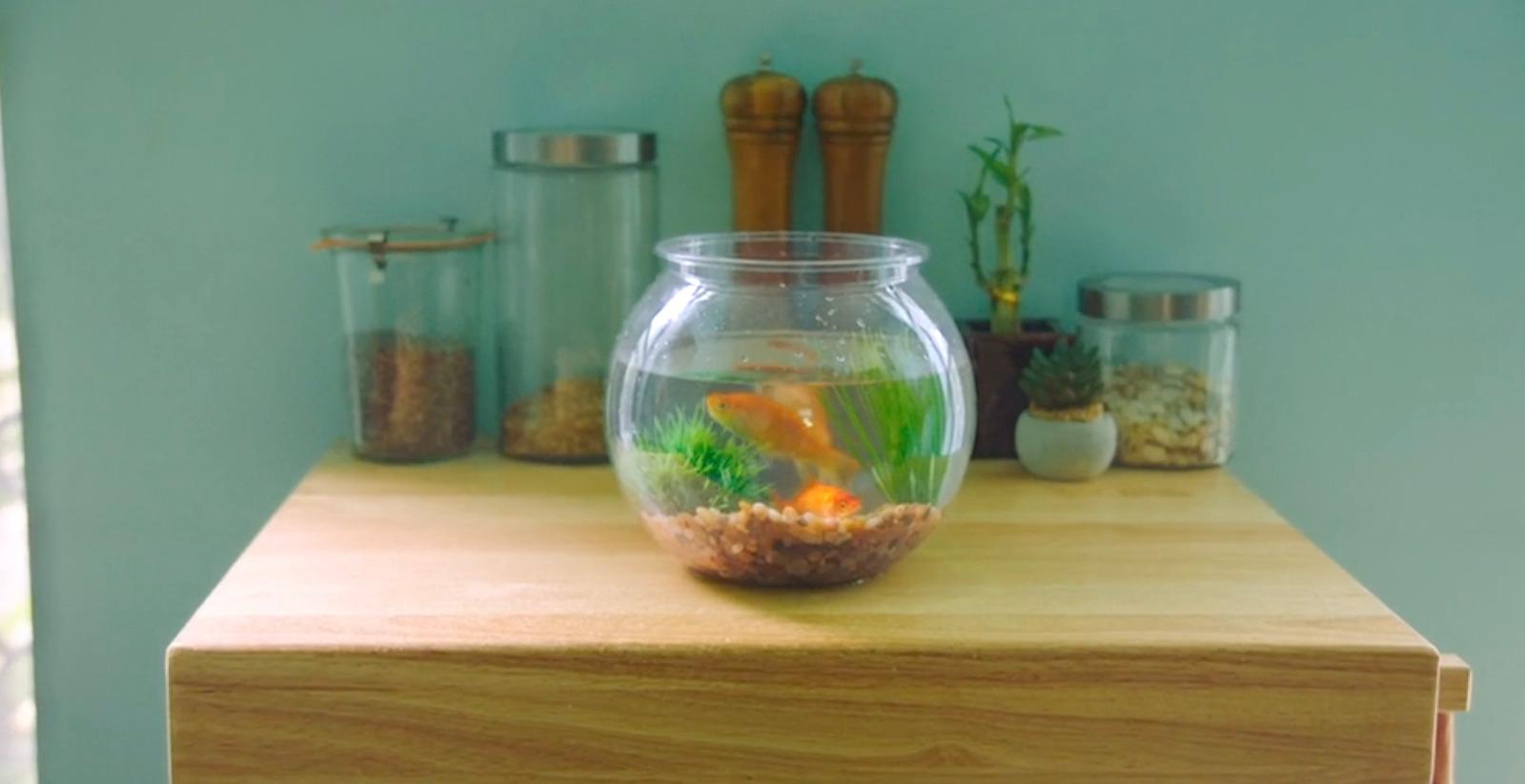 a fish bowl sitting on top of a wooden table