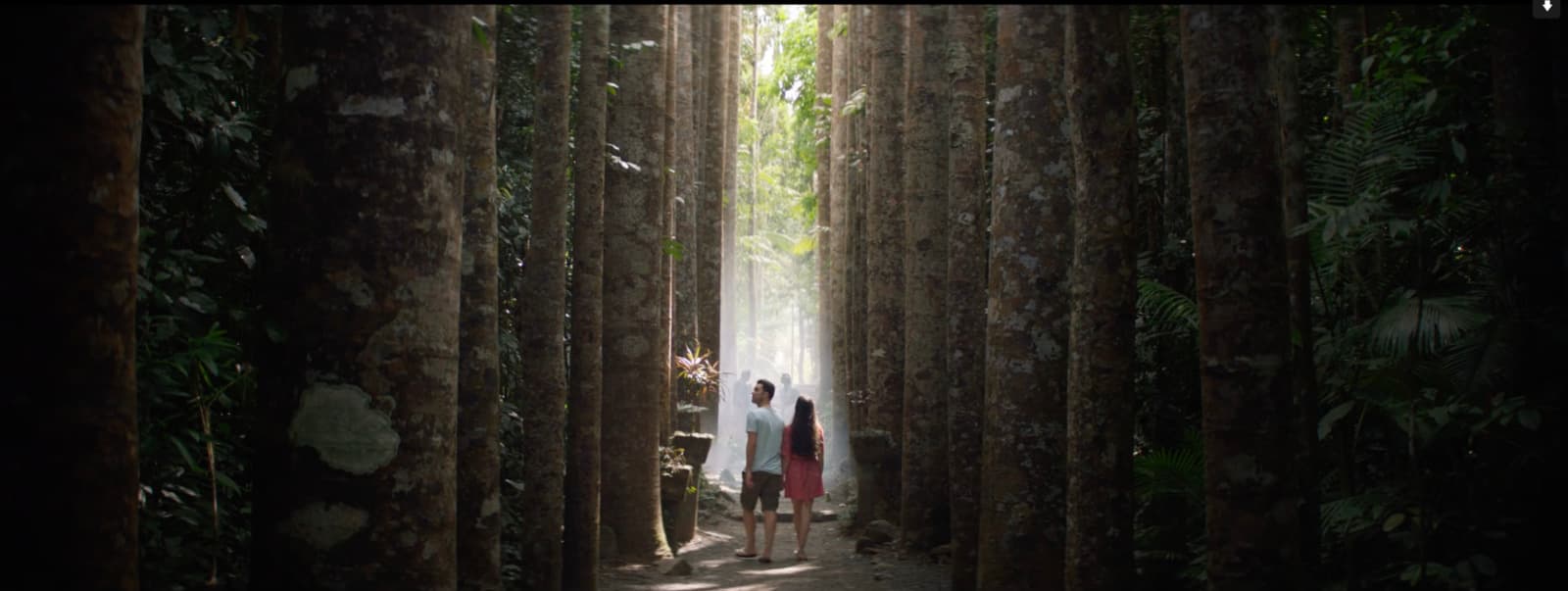a couple of people standing in the middle of a forest
