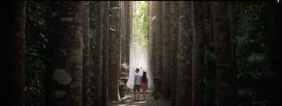 a couple of people standing in the middle of a forest