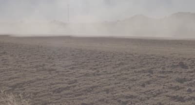 a horse standing in the middle of a field