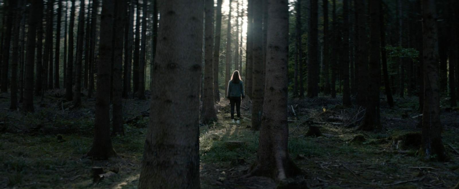a person standing in the middle of a forest