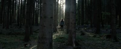 a person standing in the middle of a forest