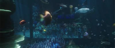 a large aquarium filled with lots of different types of fish