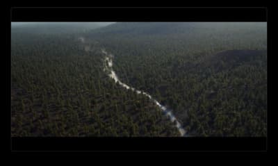 an aerial view of a road in the middle of a forest
